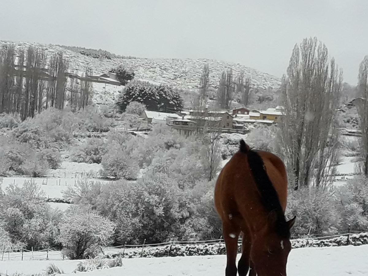 El Rondillo De Gredos Guest House Hoyos del Collado Exterior photo